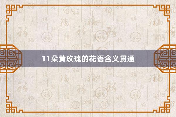 11朵黄玫瑰的花语含义贯通